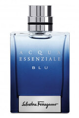 Туалетная вода Salvatore Ferragamo Acqua Essenziale Blu EDT для мужчин, 100 мл цена и информация | Мужские духи | 220.lv