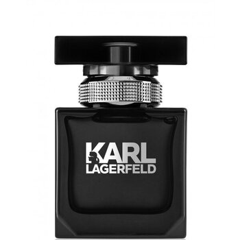 Мужская парфюмерия Lagerfeld (30 ml) EDT цена и информация | Мужские духи | 220.lv