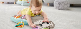 Музыкальная подушка «Ленивец» Fisher Price цена и информация | Игрушки для малышей | 220.lv