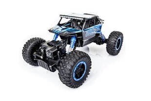 Игрушечный внедорожник 4WD RC Rock Crawler Car цена и информация | Конструктор автомобилей игрушки для мальчиков | 220.lv