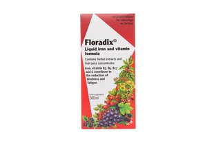 Uztura bagātinātājs sīrups ar dzelzi un augu ekstraktu, Floradix, 500 ml cena un informācija | Vitamīni, preparāti, uztura bagātinātāji labsajūtai | 220.lv