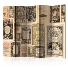 5-daļīgs aizslietnis - Vintage Books II [Room Dividers] cena un informācija | Aizslietņi | 220.lv