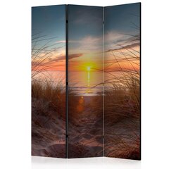 3-daļīgs aizslietnis - Sunset over the Atlantic Ocean [Room Dividers] cena un informācija | Aizslietņi | 220.lv