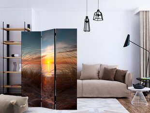 3-daļīgs aizslietnis - Sunset over the Atlantic Ocean [Room Dividers] cena un informācija | Aizslietņi | 220.lv