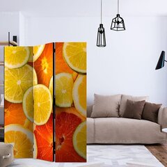 3-daļīgs aizslietnis - Citrus fruits [Room Dividers] cena un informācija | Aizslietņi | 220.lv