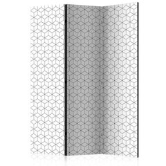 3-daļīgs aizslietnis - Cubes - texture [Room Dividers] cena un informācija | Aizslietņi | 220.lv