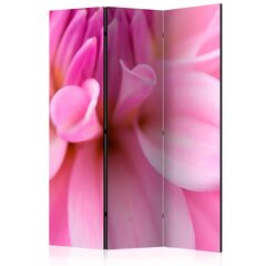 3-daļīgs aizslietnis - Flower petals - dahlia [Room Dividers] cena un informācija | Aizslietņi | 220.lv