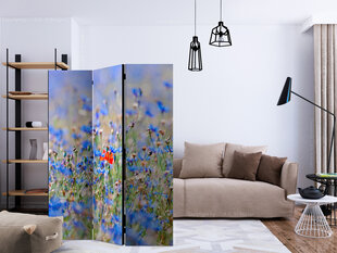 3-daļīgs aizslietnis - A sky-colored meadow - cornflowers [Room Dividers] cena un informācija | Aizslietņi | 220.lv