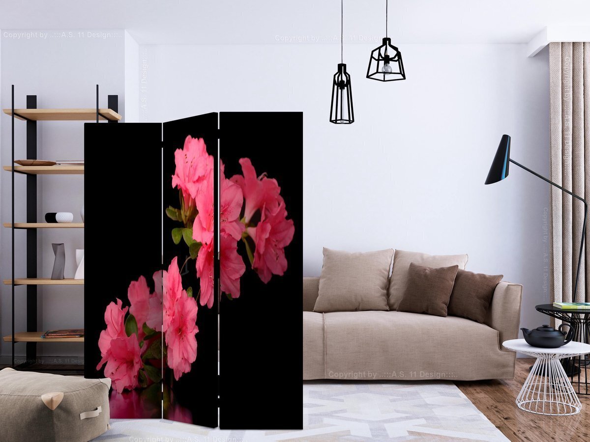 3-daļīgs aizslietnis - Azalea in Black [Room Dividers] cena un informācija | Aizslietņi | 220.lv