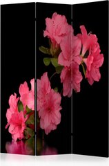 3-daļīgs aizslietnis - Azalea in Black [Room Dividers] cena un informācija | Aizslietņi | 220.lv