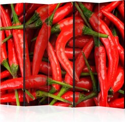 5-daļīgs aizslietnis - chili pepper - background II [Room Dividers] cena un informācija | Aizslietņi | 220.lv