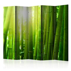 5-daļīgs aizslietnis - Sun and bamboo II [Room Dividers] cena un informācija | Aizslietņi | 220.lv