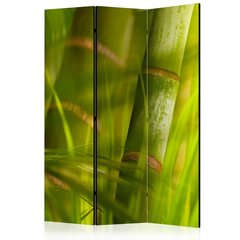 3-daļīgs aizslietnis - bamboo - nature zen [Room Dividers] cena un informācija | Aizslietņi | 220.lv