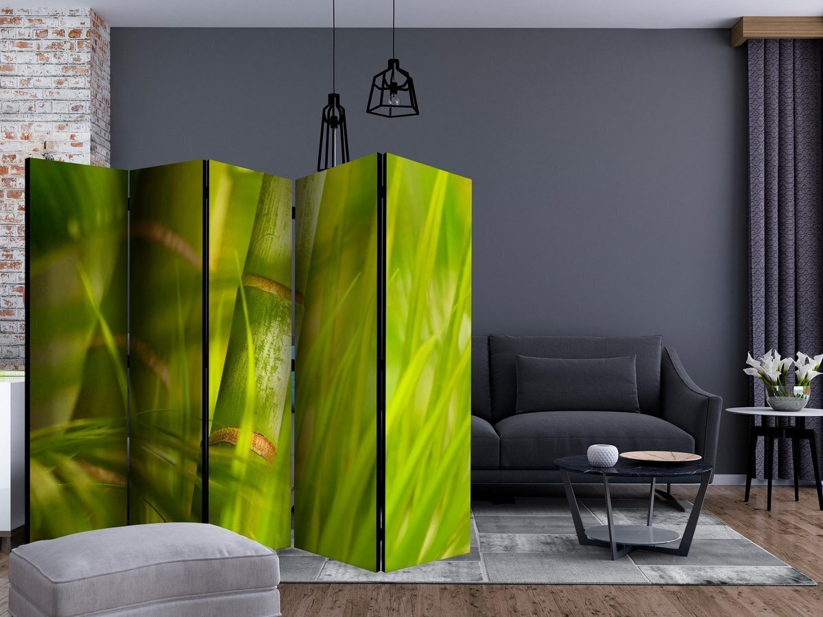 5-daļīgs aizslietnis - bamboo - nature zen II [Room Dividers] cena un informācija | Aizslietņi | 220.lv