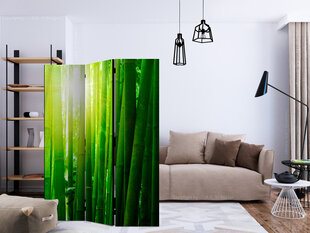 3-daļīgs aizslietnis - Sun and bamboo [Room Dividers] cena un informācija | Aizslietņi | 220.lv