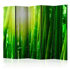 5-daļīgs aizslietnis - Sun and bamboo II [Room Dividers] cena un informācija | Aizslietņi | 220.lv