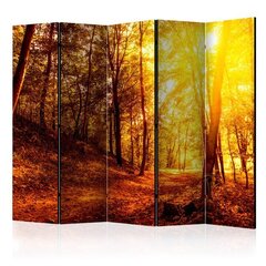 5-daļīgs aizslietnis - Autumn Walk II [Room Dividers] cena un informācija | Aizslietņi | 220.lv