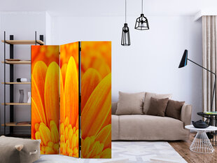 3-daļīgs aizslietnis - Yellow gerbera daisies [Room Dividers] cena un informācija | Aizslietņi | 220.lv