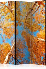 3-daļīgs aizslietnis - Autumnal treetops [Room Dividers] cena un informācija | Aizslietņi | 220.lv