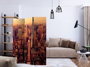 3-daļīgs aizslietnis - Bird Eye View Of Manhattan, New York [Room Dividers] cena un informācija | Aizslietņi | 220.lv