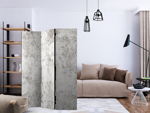 3-daļīgs aizslietnis - Urban Style: Concrete [Room Dividers] cena un informācija | Aizslietņi | 220.lv