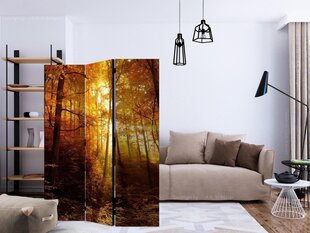 3-daļīgs aizslietnis - Autumn Illumination [Room Dividers] cena un informācija | Aizslietņi | 220.lv