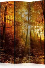 3-daļīgs aizslietnis - Autumn Illumination [Room Dividers] cena un informācija | Aizslietņi | 220.lv