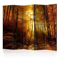 5-daļīgs aizslietnis - Autumn Illumination II [Room Dividers] cena un informācija | Aizslietņi | 220.lv