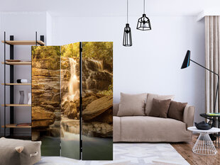 3-daļīgs aizslietnis - Sunny Waterfall [Room Dividers] cena un informācija | Aizslietņi | 220.lv