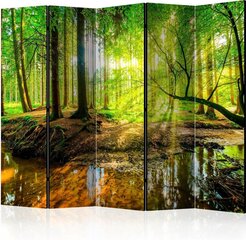 5-daļīgs aizslietnis - Forest Stream II [Room Dividers] cena un informācija | Aizslietņi | 220.lv