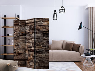 3-daļīgs aizslietnis - Stylish Bronze [Room Dividers] cena un informācija | Aizslietņi | 220.lv