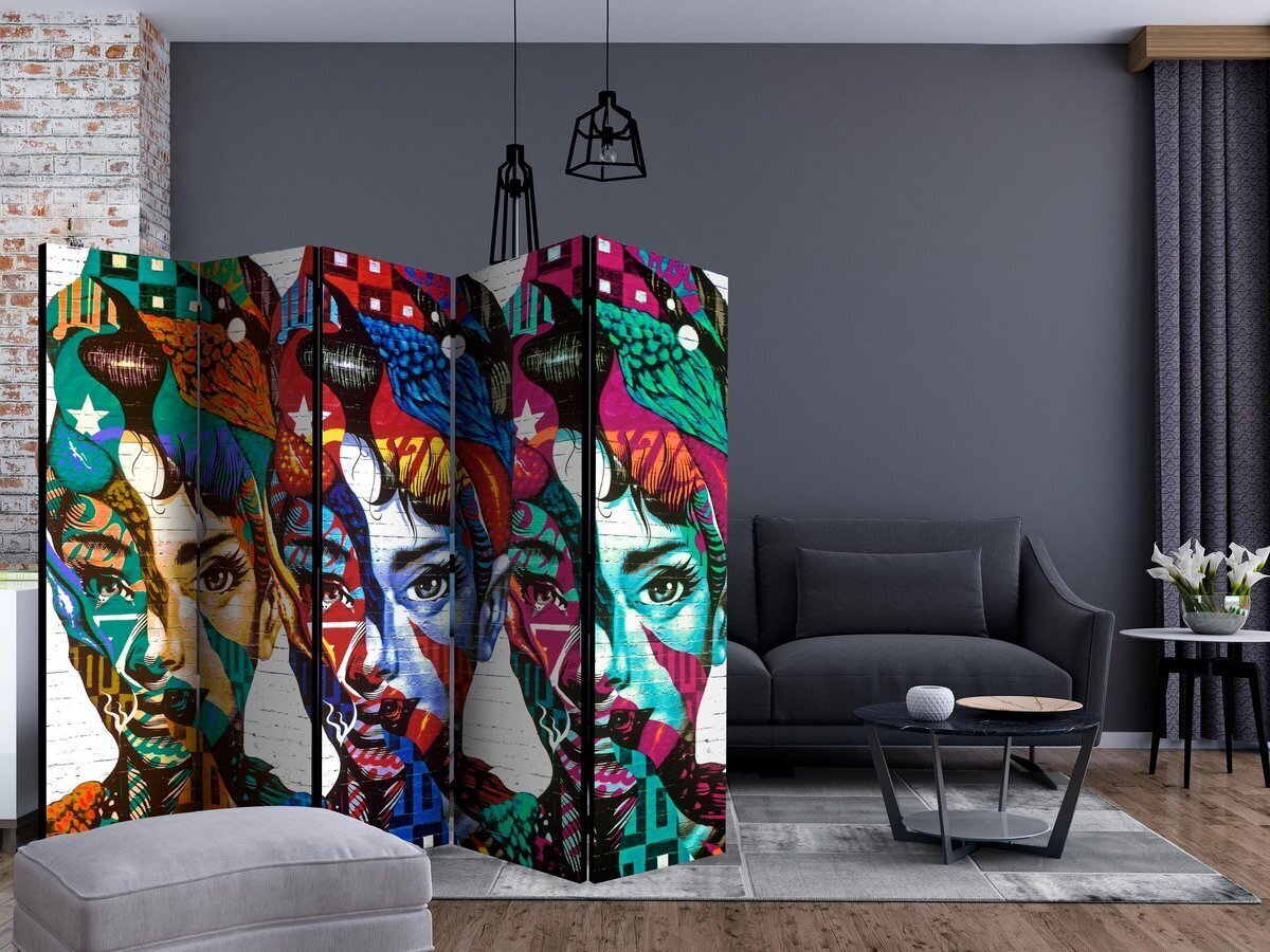 5-daļīgs aizslietnis - Colorful Faces II [Room Dividers] cena un informācija | Aizslietņi | 220.lv