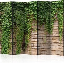 5-daļīgs aizslietnis - Ivy wall II [Room Dividers] cena un informācija | Aizslietņi | 220.lv