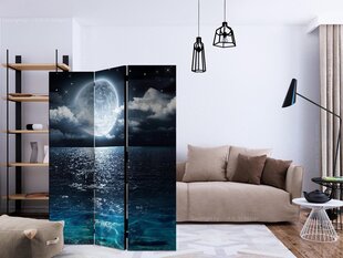 3-daļīgs aizslietnis - Blue Lagoon [Room Dividers] cena un informācija | Aizslietņi | 220.lv