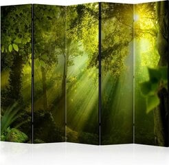 5-daļīgs aizslietnis - In a Secret Forest II II [Room Dividers] цена и информация | Мобильные стенки | 220.lv