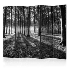 5-daļīgs aizslietnis - Grey Wilderness II [Room Dividers] cena un informācija | Aizslietņi | 220.lv