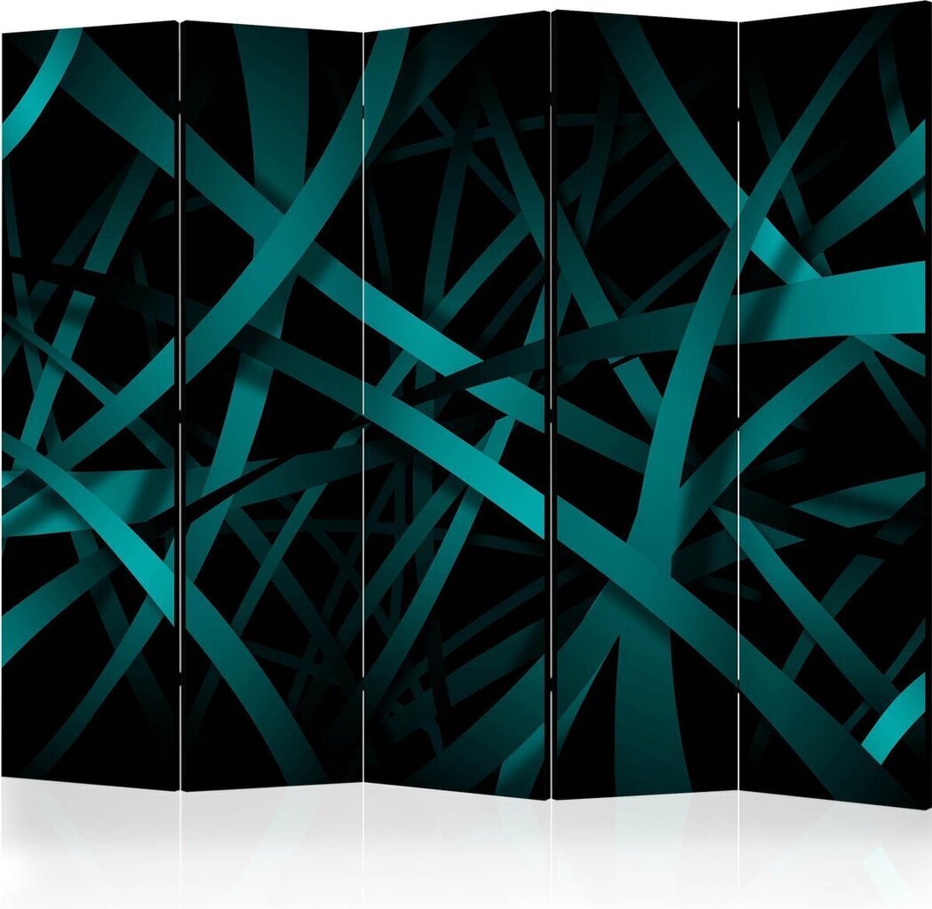 5-daļīgs aizslietnis - Dark background II [Room Dividers] cena un informācija | Aizslietņi | 220.lv