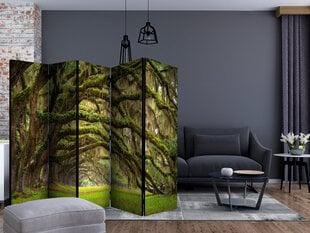 5-daļīgs aizslietnis - Tree embrace II [Room Dividers] cena un informācija | Aizslietņi | 220.lv