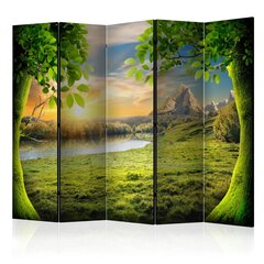 5-daļīgs aizslietnis - Glade of dreams II [Room Dividers] cena un informācija | Aizslietņi | 220.lv