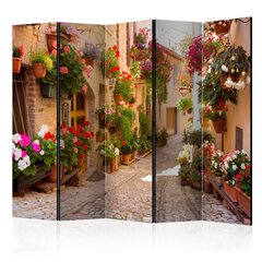 5-daļīgs aizslietnis - The Alley in Spello (Italy) II [Room Dividers] цена и информация | Мобильные стенки | 220.lv