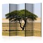 5-daļīgs aizslietnis - Etosha National Park, Namibia II [Room Dividers] цена и информация | Aizslietņi | 220.lv