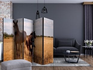 5-daļīgs aizslietnis - Horse and foal II [Room Dividers] cena un informācija | Aizslietņi | 220.lv