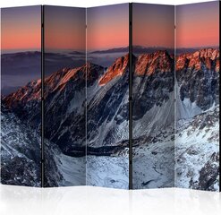 5-daļīgs aizslietnis - Beautiful sunrise in the Rocky Mountains II [Room Dividers] cena un informācija | Aizslietņi | 220.lv