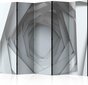 5-daļīgs aizslietnis - Geometrical Abyss II [Room Dividers] цена и информация | Aizslietņi | 220.lv