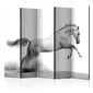 5-daļīgs aizslietnis - White gallop II [Room Dividers] цена и информация | Aizslietņi | 220.lv