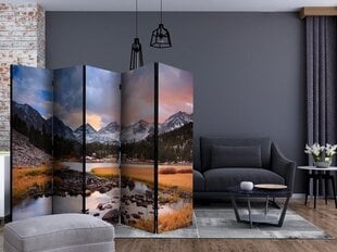 5-daļīgs aizslietnis - Amazing mountain landscape II [Room Dividers] cena un informācija | Aizslietņi | 220.lv