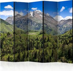 5-daļīgs aizslietnis - Holiday in the mountains II [Room Dividers] cena un informācija | Aizslietņi | 220.lv