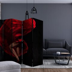 5-daļīgs aizslietnis - Flamenco dancer II [Room Dividers] cena un informācija | Aizslietņi | 220.lv