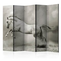 5-daļīgs aizslietnis - Wild Stallion II [Room Dividers] cena un informācija | Aizslietņi | 220.lv