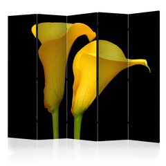 5-daļīgs aizslietnis - Two yellow calla flowers on a black background II [Room Dividers] cena un informācija | Aizslietņi | 220.lv